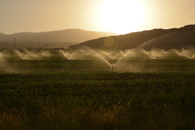 best irrigation tools