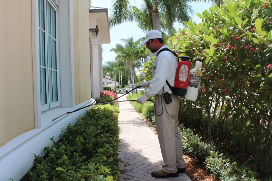 Top Phoenix Pest Control Companies